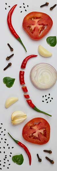 Dinesh Pal Catters & Event Planner